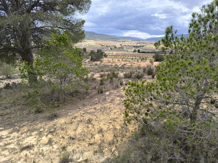 Image No.8-Land for sale