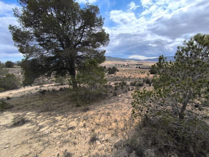 Image No.9-Land for sale