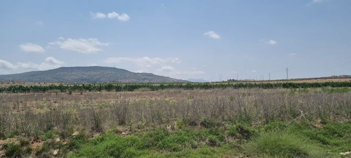 Image No.2-Land for sale