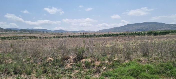 Image No.4-Land for sale