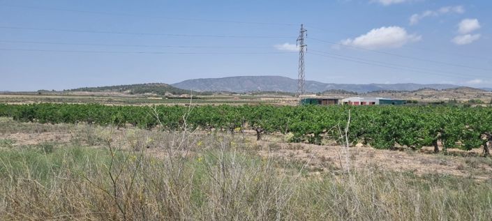 Image No.5-Land for sale