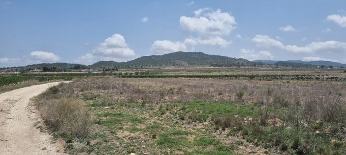 Image No.1-Land for sale