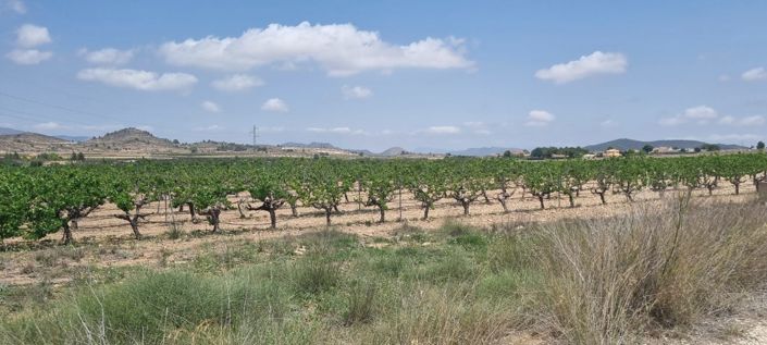 Image No.4-Land for sale