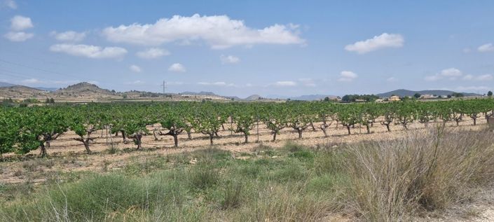 Image No.4-Terreno en venta