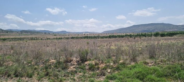 Image No.5-Terreno en venta