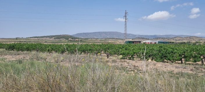 Image No.6-Terreno en venta