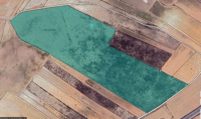 Image No.7-Terre à vendre à Pinoso