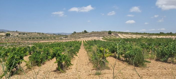 Image No.2-Land for sale