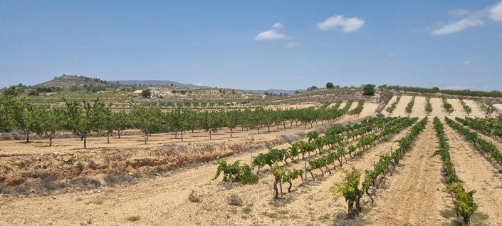 Image No.4-Land for sale