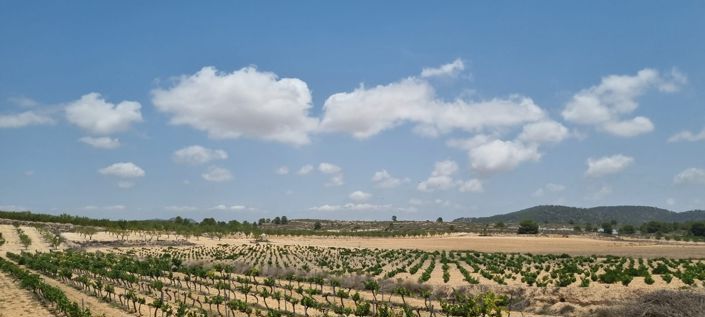 Image No.7-Land for sale