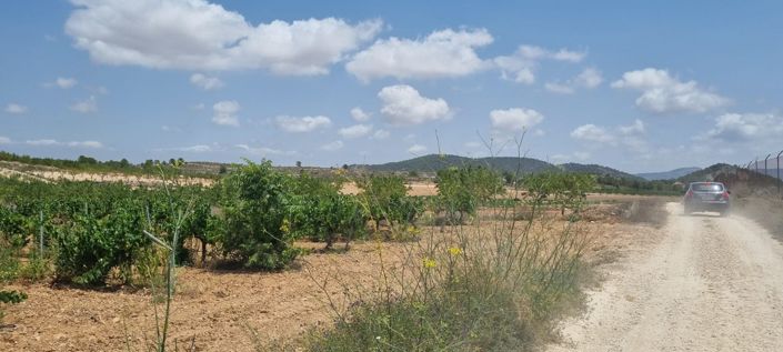 Image No.8-Land for sale