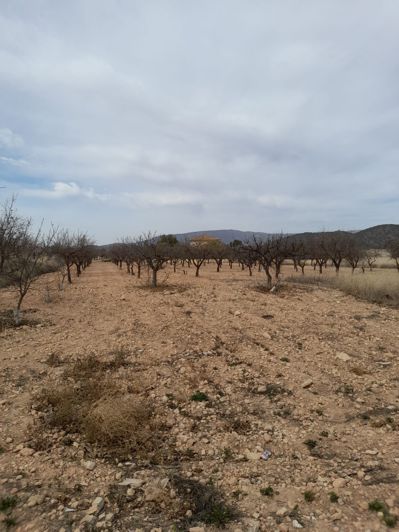 Image No.10-5 Bed Townhouse for sale