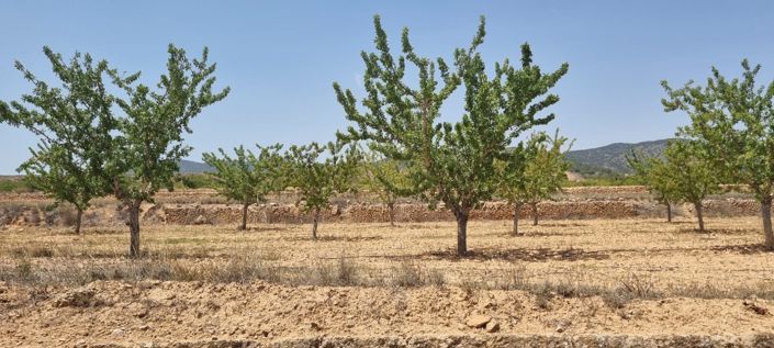 Image No.4-Land for sale