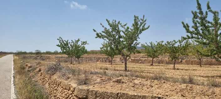 Image No.5-Land for sale