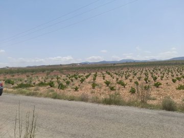 d6708fd08c0bf46708fd08c0c3a