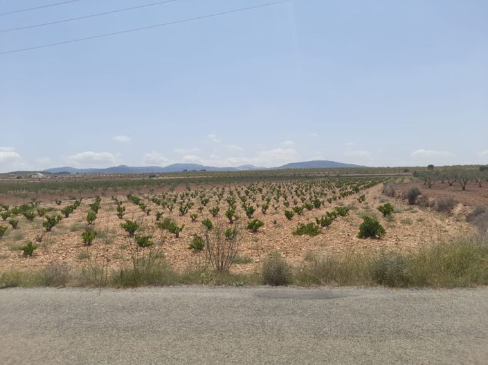 Image No.3-Land for sale