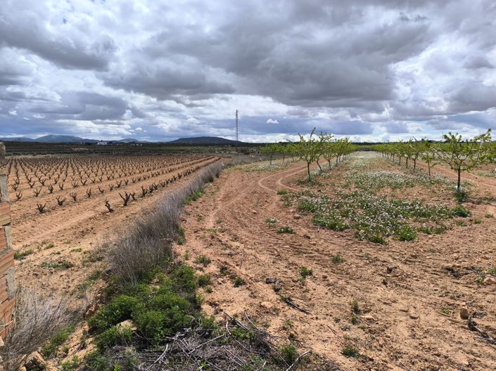 Image No.2-Land for sale