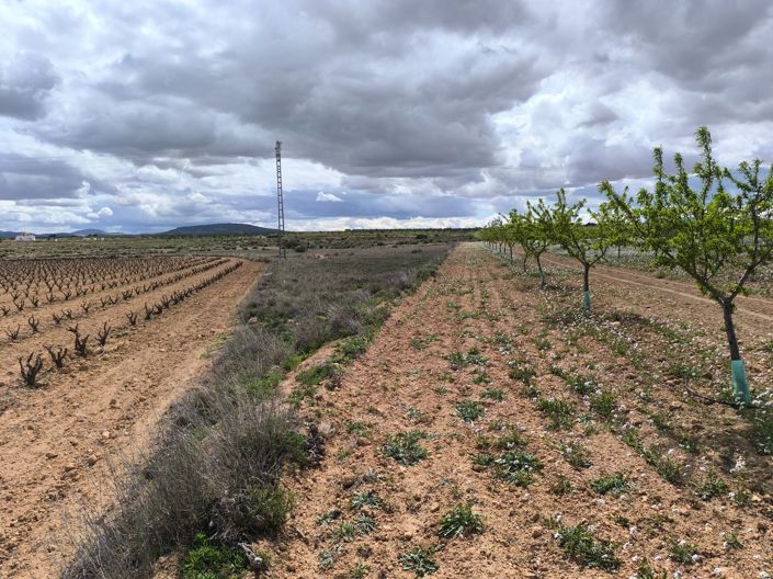 Image No.4-Land for sale