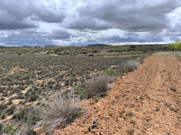 Image No.5-Land for sale