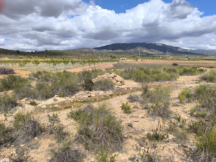 Image No.8-Land for sale