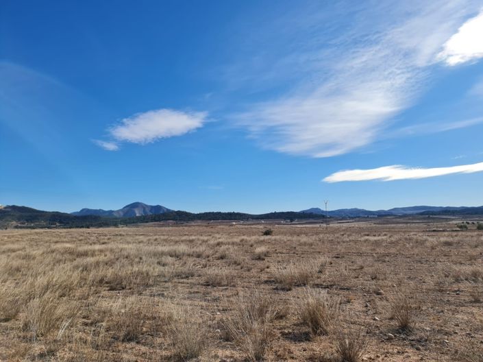 Image No.2-Land for sale