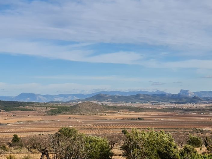 Image No.2-Land for sale