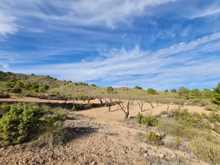 Image No.4-Land for sale