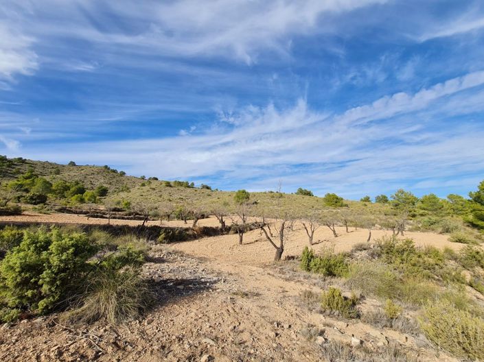 Image No.4-Land for sale