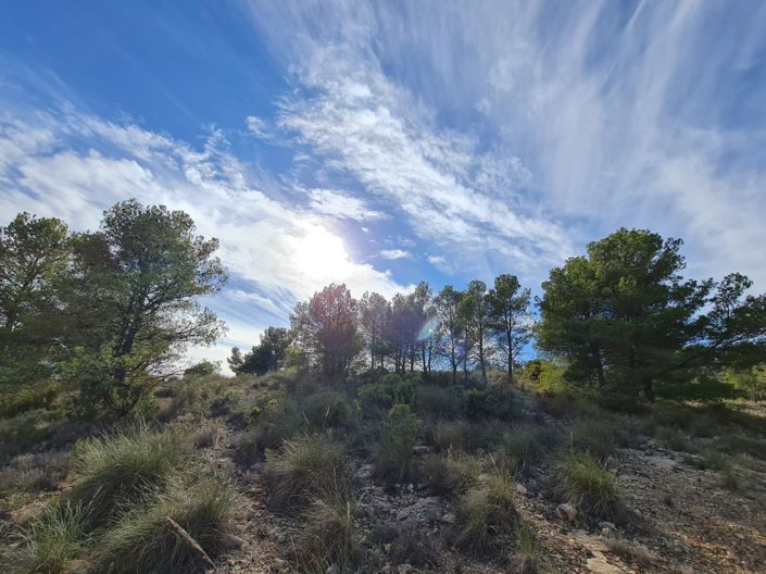 Image No.6-Land for sale