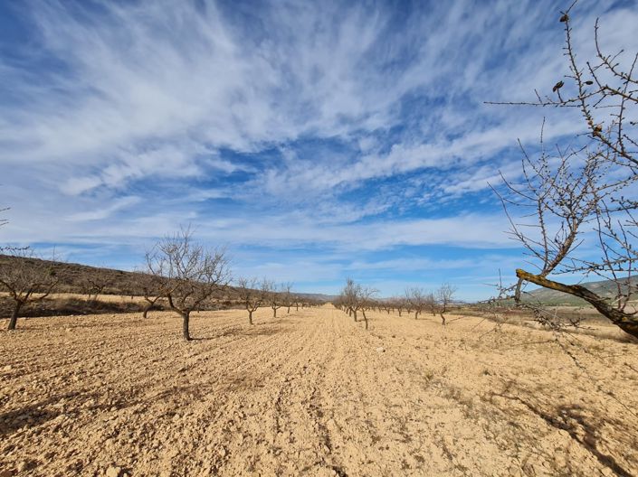 Image No.8-Land for sale