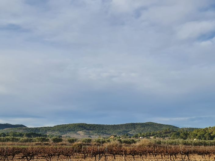 Image No.11-Land for sale