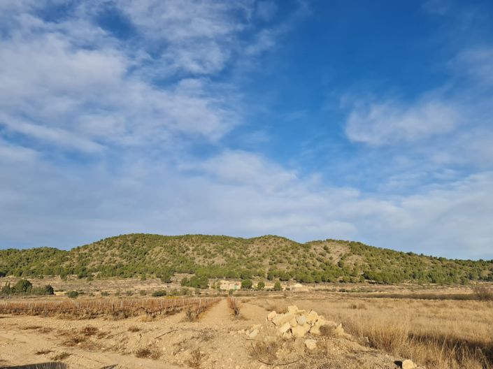 Image No.7-Land for sale