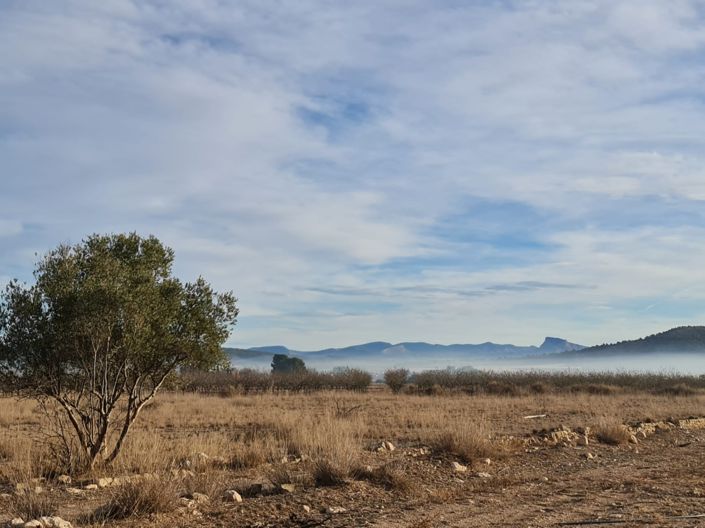 Image No.8-Land for sale