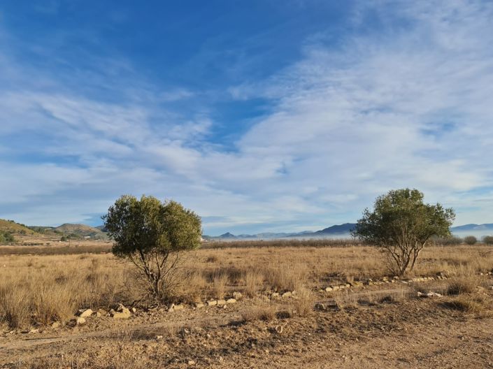 Image No.9-Land for sale