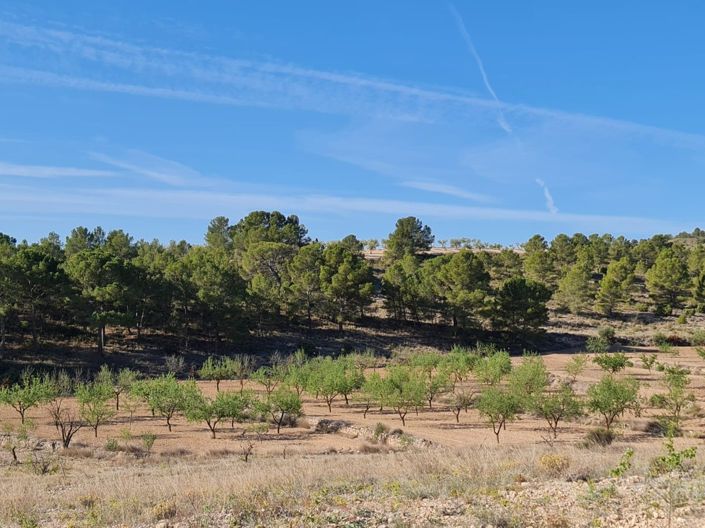 Image No.19-Land for sale