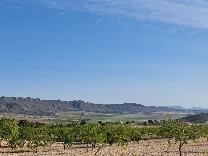Image No.2-Land for sale