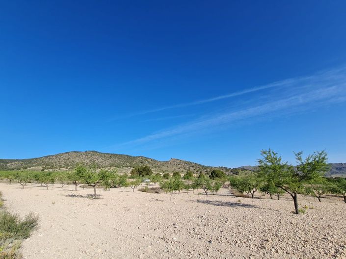 Image No.4-Land for sale