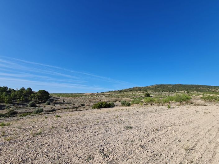 Image No.5-Land for sale