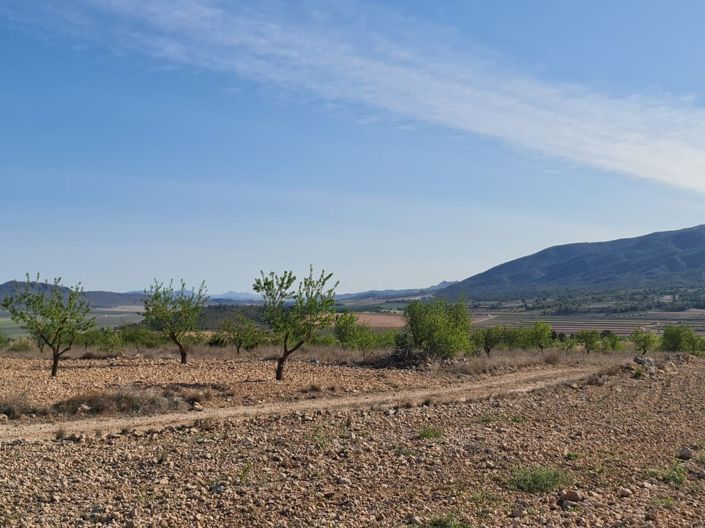 Image No.7-Land for sale