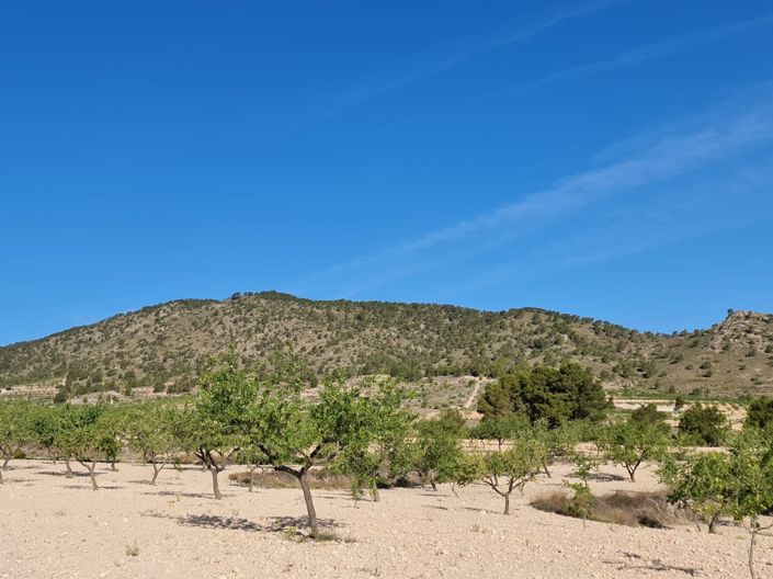 Image No.8-Land for sale