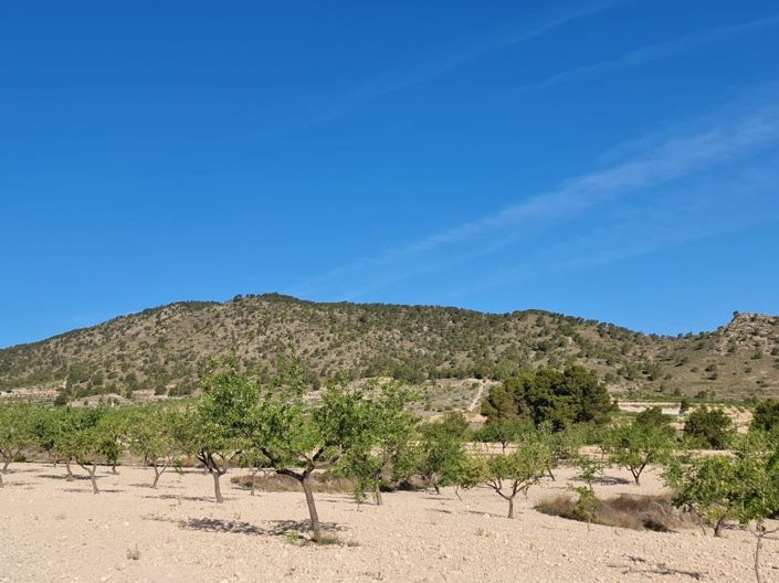 Image No.8-Land for sale