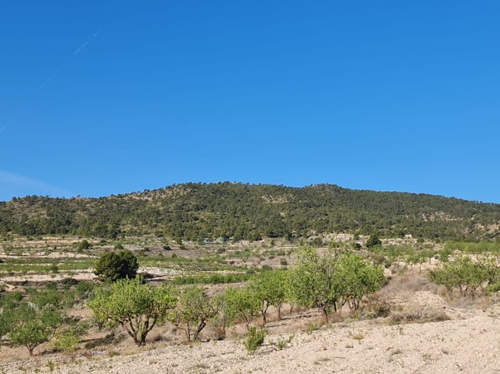 Image No.11-Land for sale