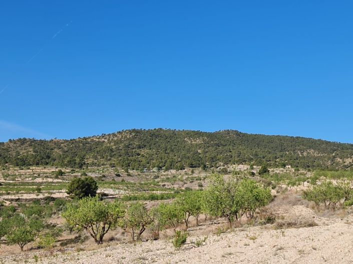 Image No.11-Land for sale