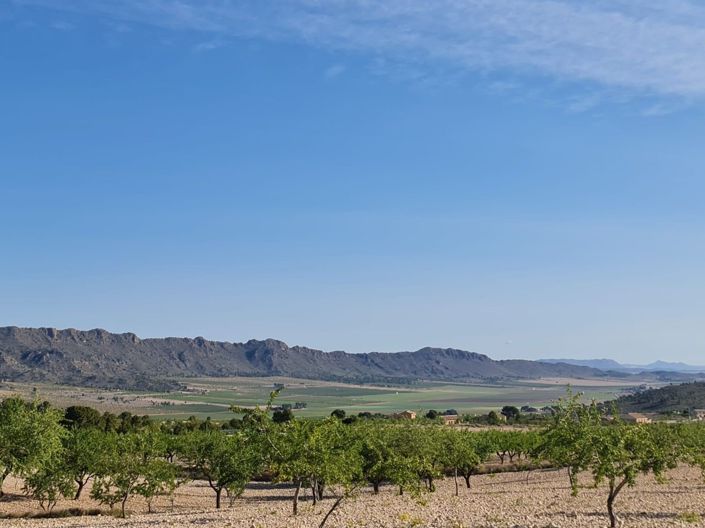 Image No.2-Land for sale