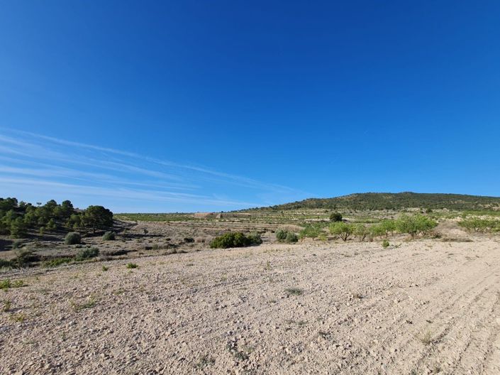 Image No.4-Land for sale
