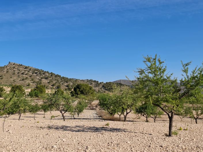 Image No.5-Land for sale