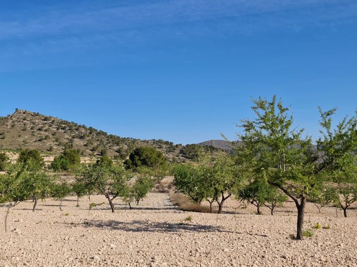 Image No.5-Land for sale