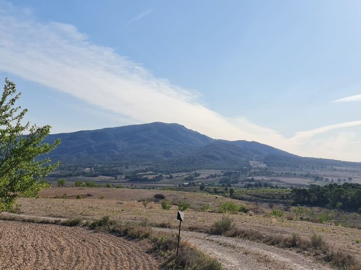 Image No.8-Terre à vendre à Raspay