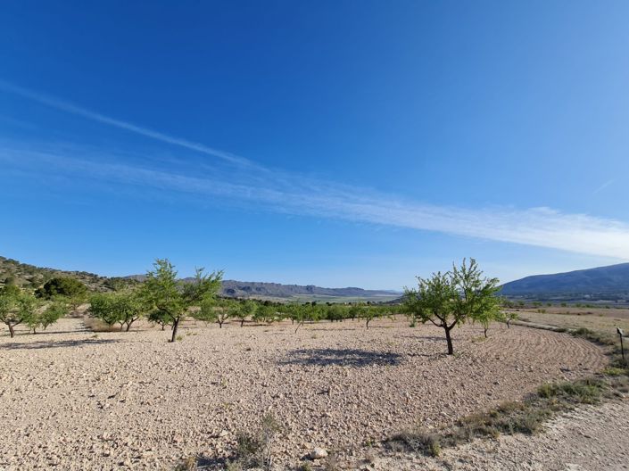 Image No.9-Land for sale