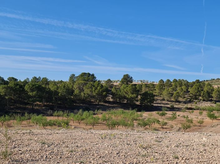 Image No.10-Land for sale